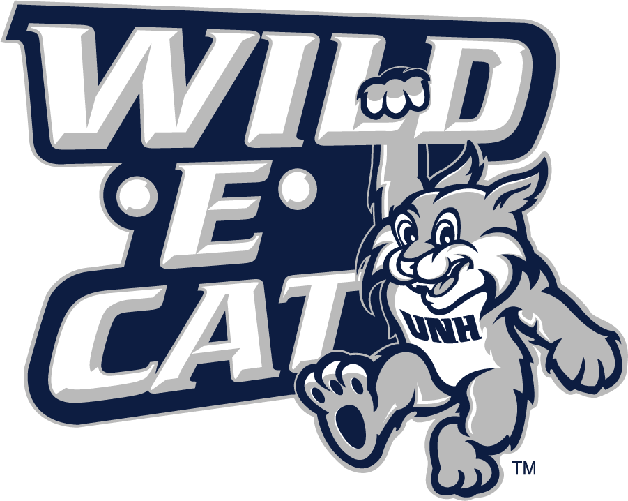 New Hampshire Wildcats 2000-2019 Misc Logo diy iron on heat transfer